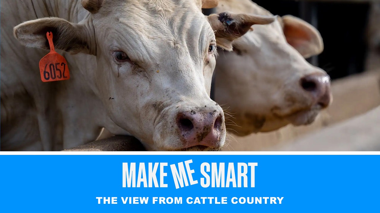 Economics on Tap | Make Me Smart Livestream
