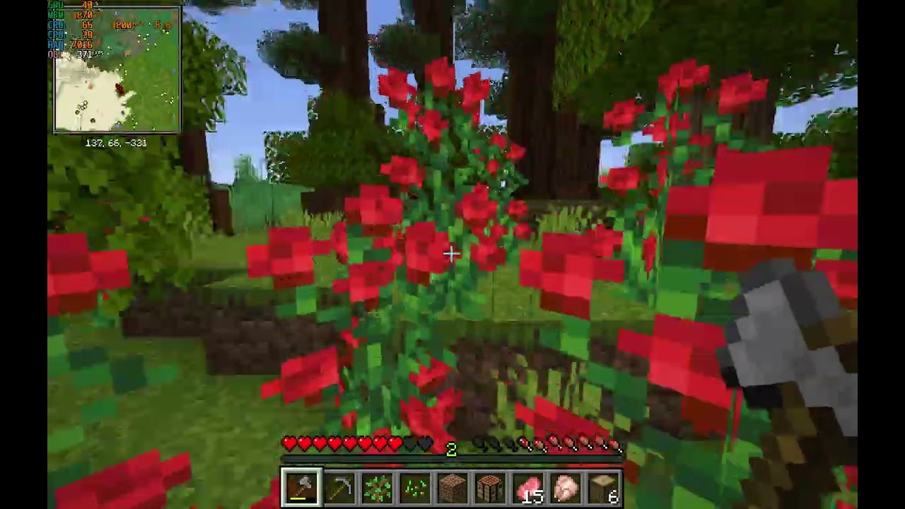 Minecraft (first video)