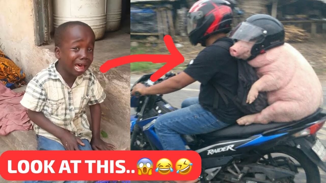 Crazy funniest video to make you laugh |Part 12😂