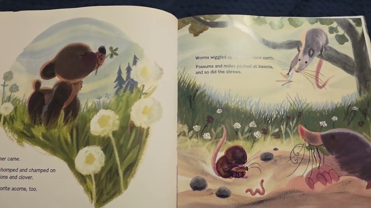 Bear Helps The Forest