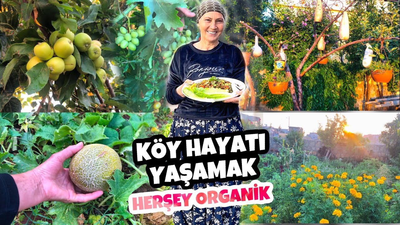 ARİFE ABLA’nız ile KÖY HAYATI YAŞAYIN !! Gördüğünüz Herşey ORGANİK Kendim Yetiştirdi🍀🍃CENNET KÖŞEM