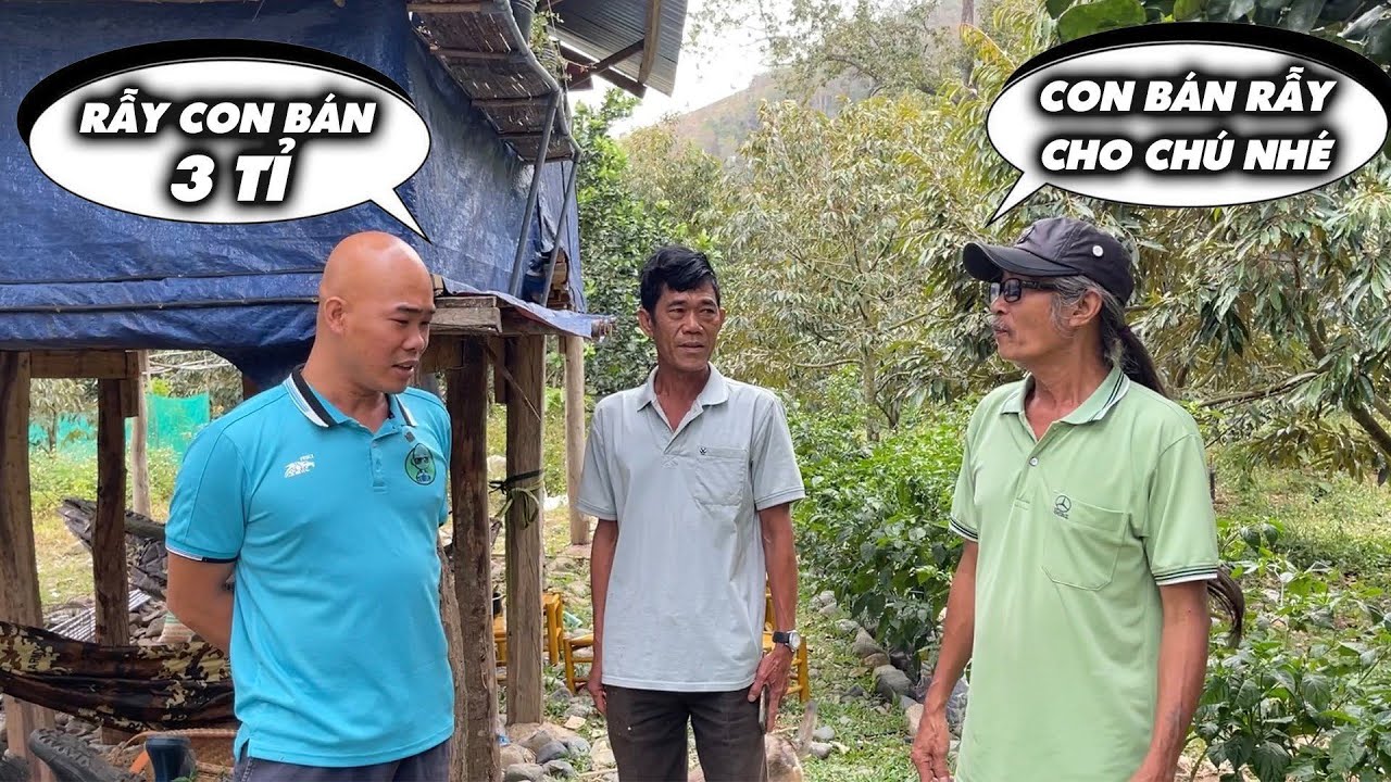 ÔNG CHÚ MUỐN MUA LẠI RẪY CỦA THÉP VỚI GIÁ CAO