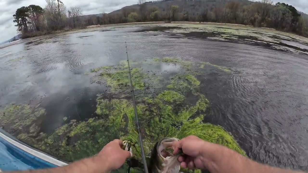 Early spring bass fishing