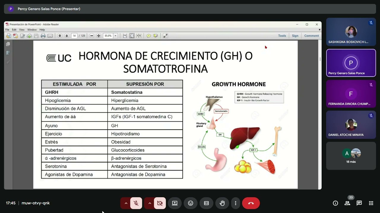 semana 14-15 parte 1