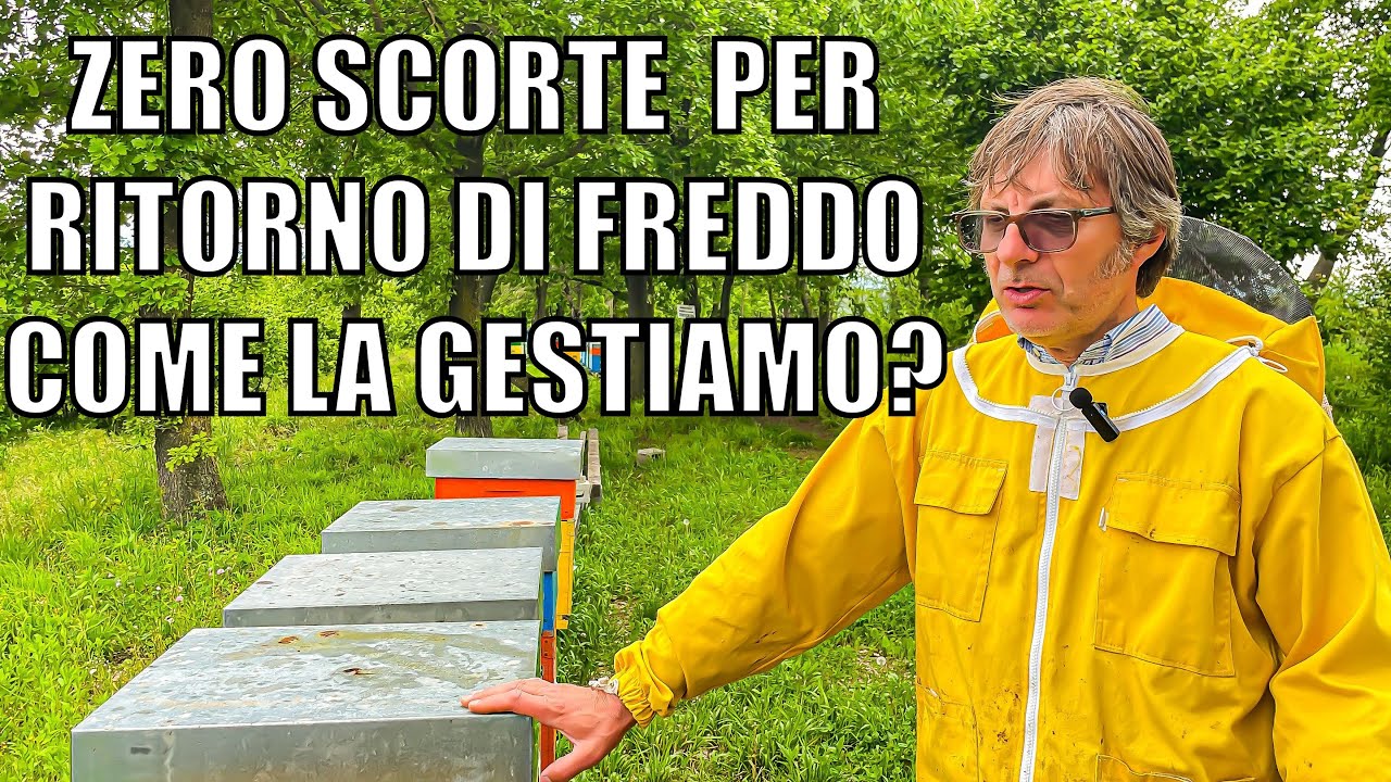 COME GESTIRE L’APIARIO CON IL RITORNO DEL FREDDO? PERSO IL RACCOLTO DI ACACIA?