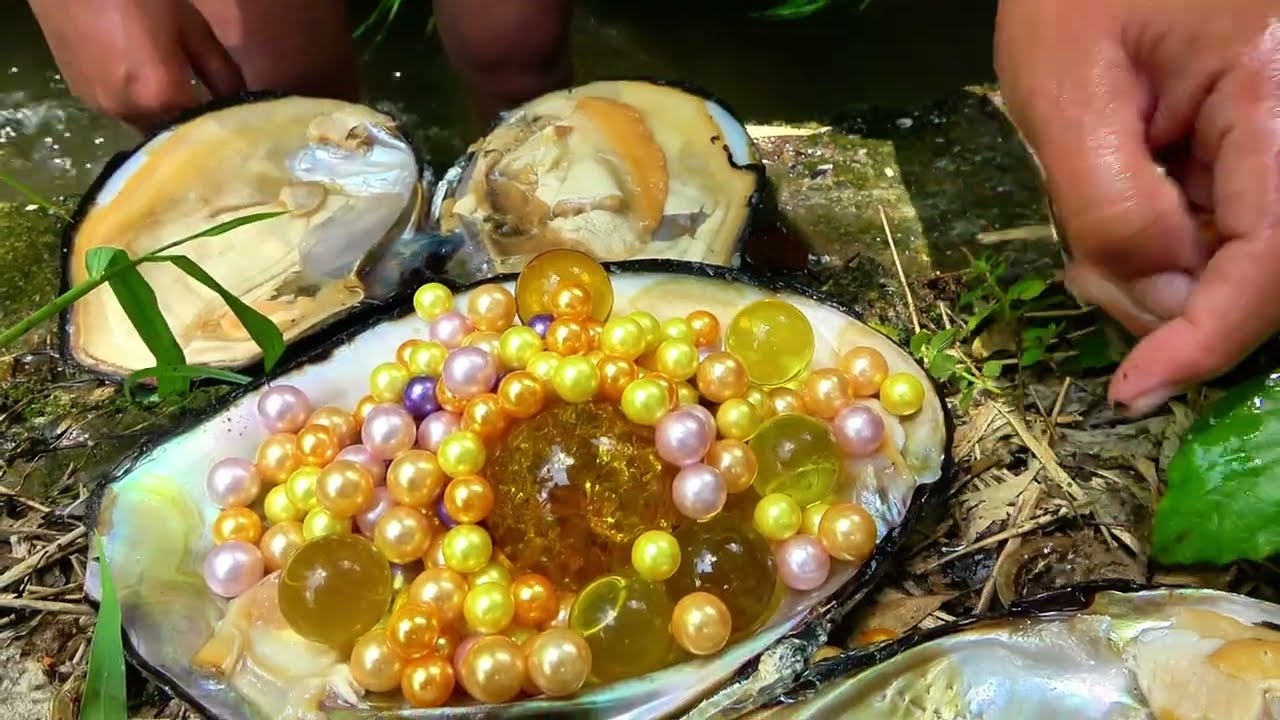 🥰 The girl explores the giant clam and unexpectedly discovers a precious family heritage pearl