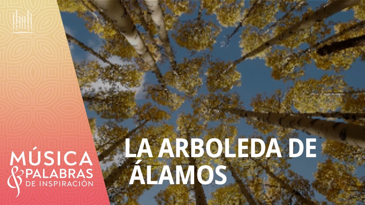 La arboleda de álamos | Música y Palabras de Inspiración