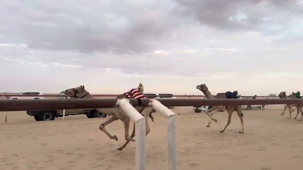 الشوط الاول 