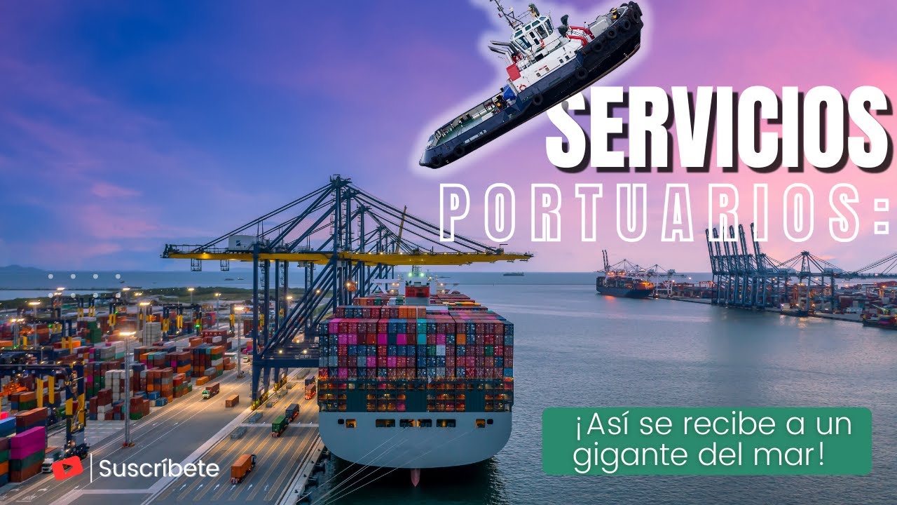 Servicios Portuarios: &iexcl;As&iacute; se recibe a un gigante del mar!