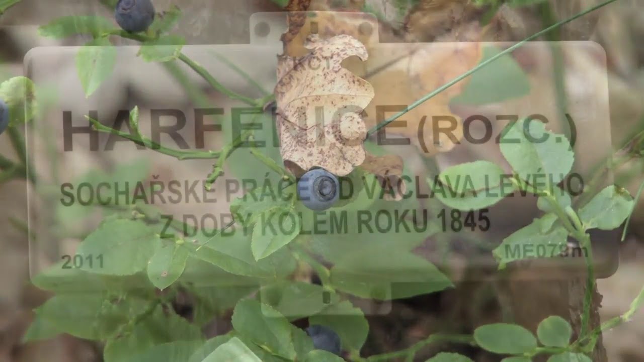 Cestou po Českém Středohoří