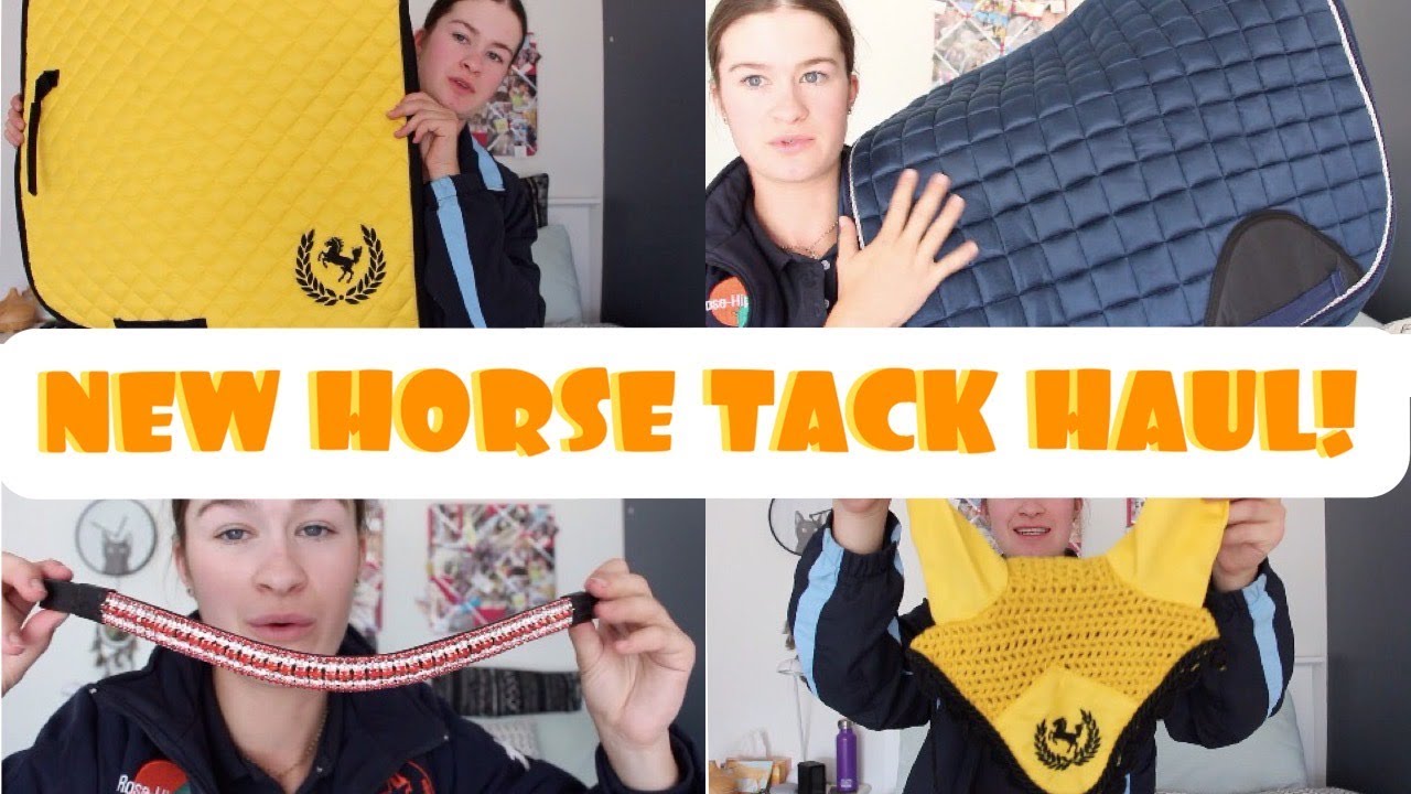 HUGE NEW HORSE TACK HAUL!