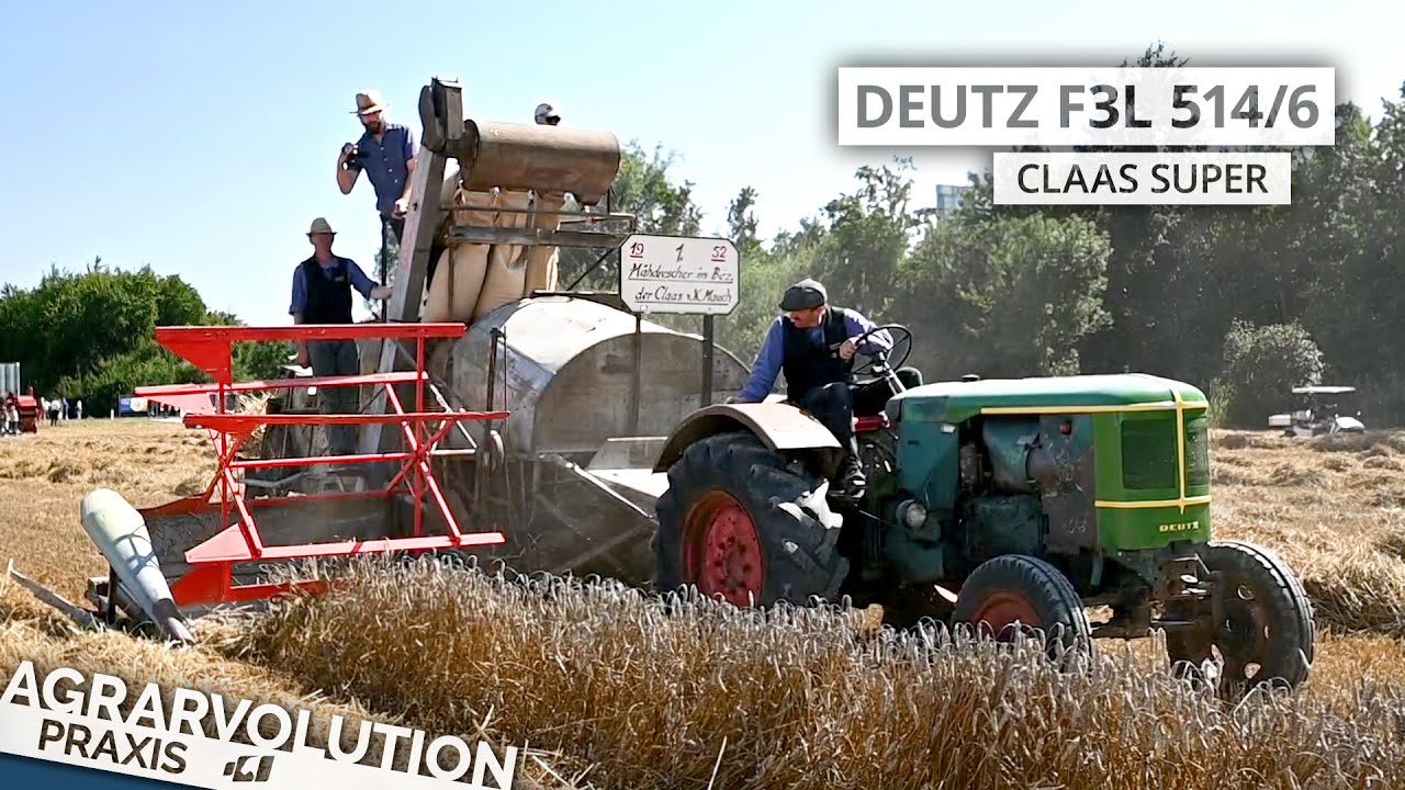 Deutz F3L 514/6 + Claas Super • Wheat harvest | Agrarvolution Praxis
