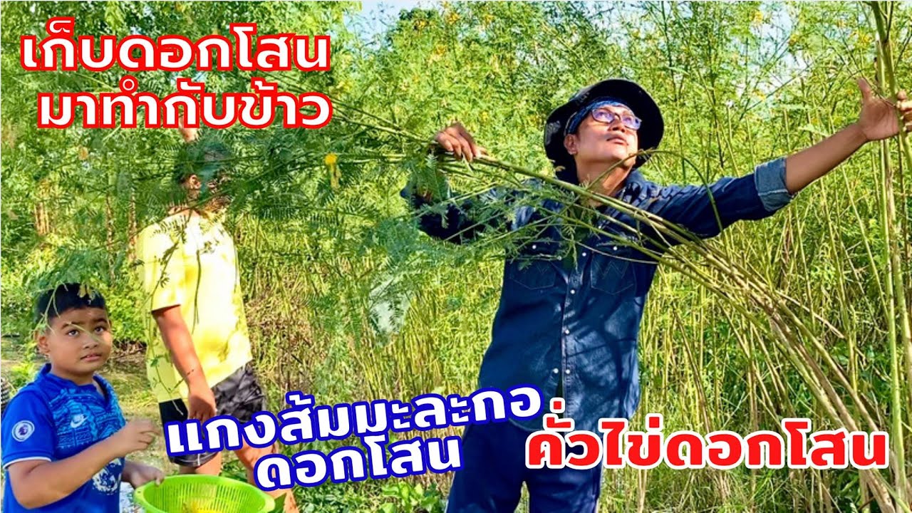 แกงส้มดอกโสน คั่วไข่ใส่ดอกโสน กับข้าวบ้านๆรสชาติอิ่มอุ่น | สไตล์นายแทน