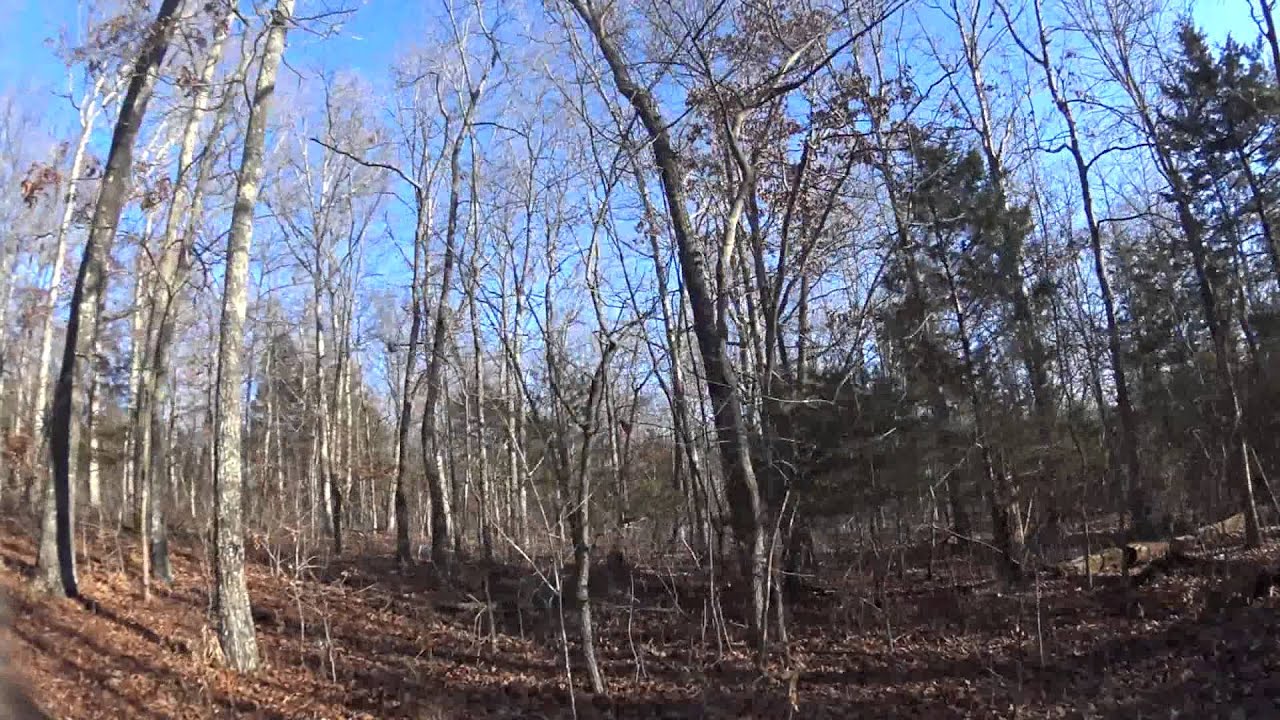 Sony HDR-AZ1 mini action cam with Honda Recon 250ES trail ride