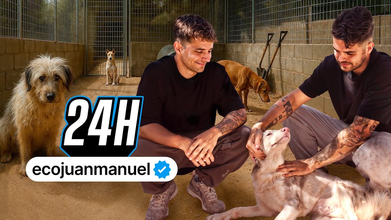 Mira este vídeo si te importan los animales