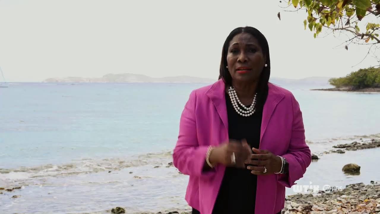 Virgin Islands Case Files: In this episode, explore the unsolved solved murder cases of Mario 