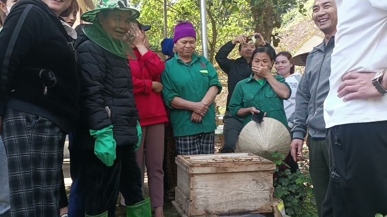 Chia sẻ cách tách tổ ong cho bà con 