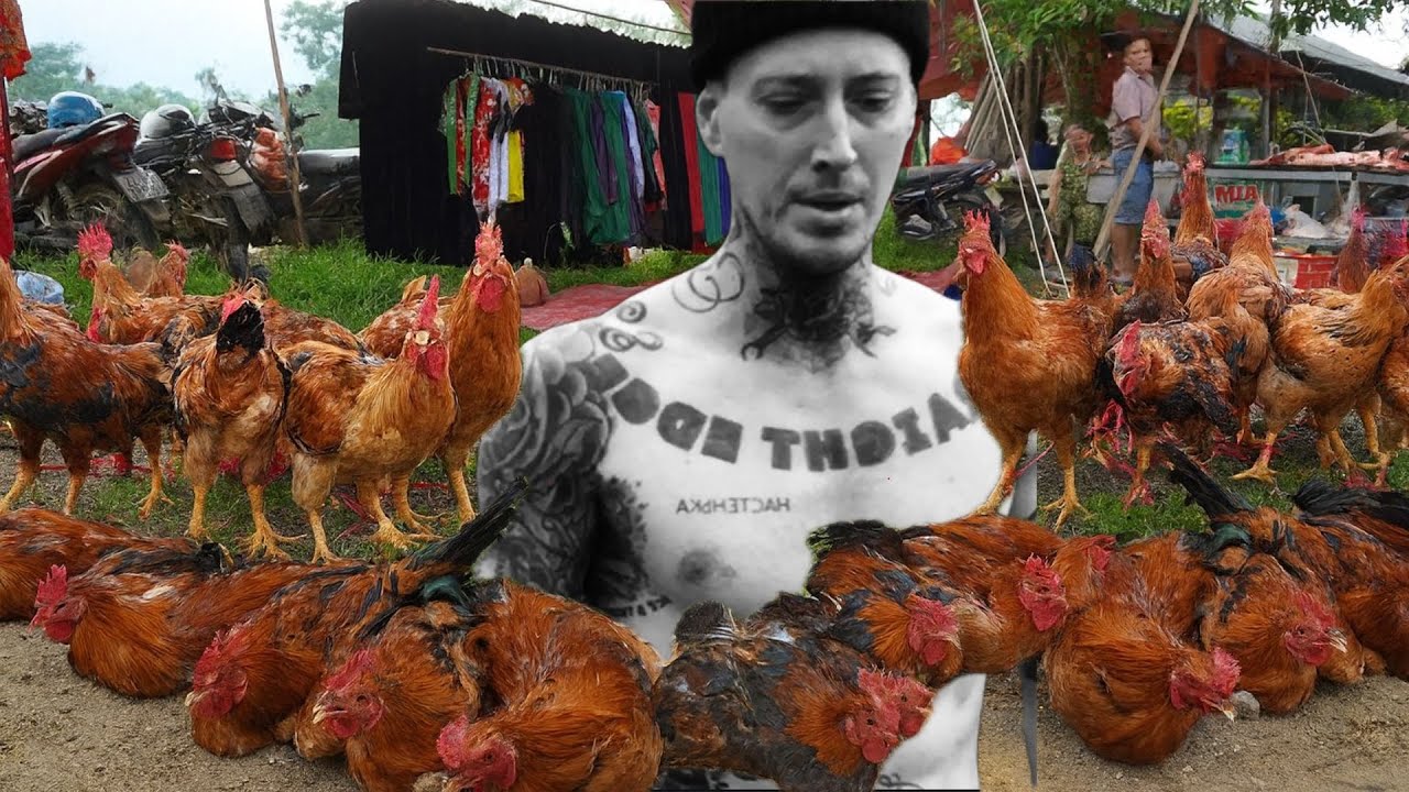 I feed my chickens watermelon from the garden! Look what came out of it