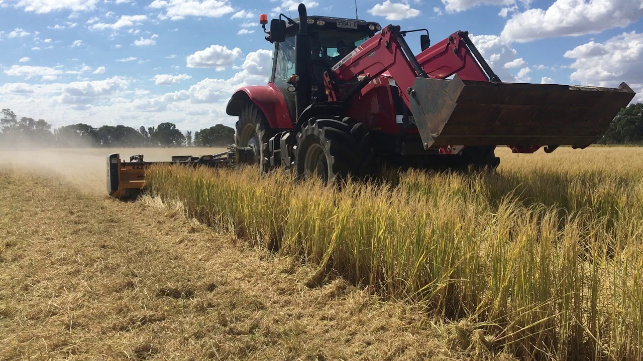 Muthing Mulcher MU-M 600 Vario Flail Mower Mulching Rice Crop