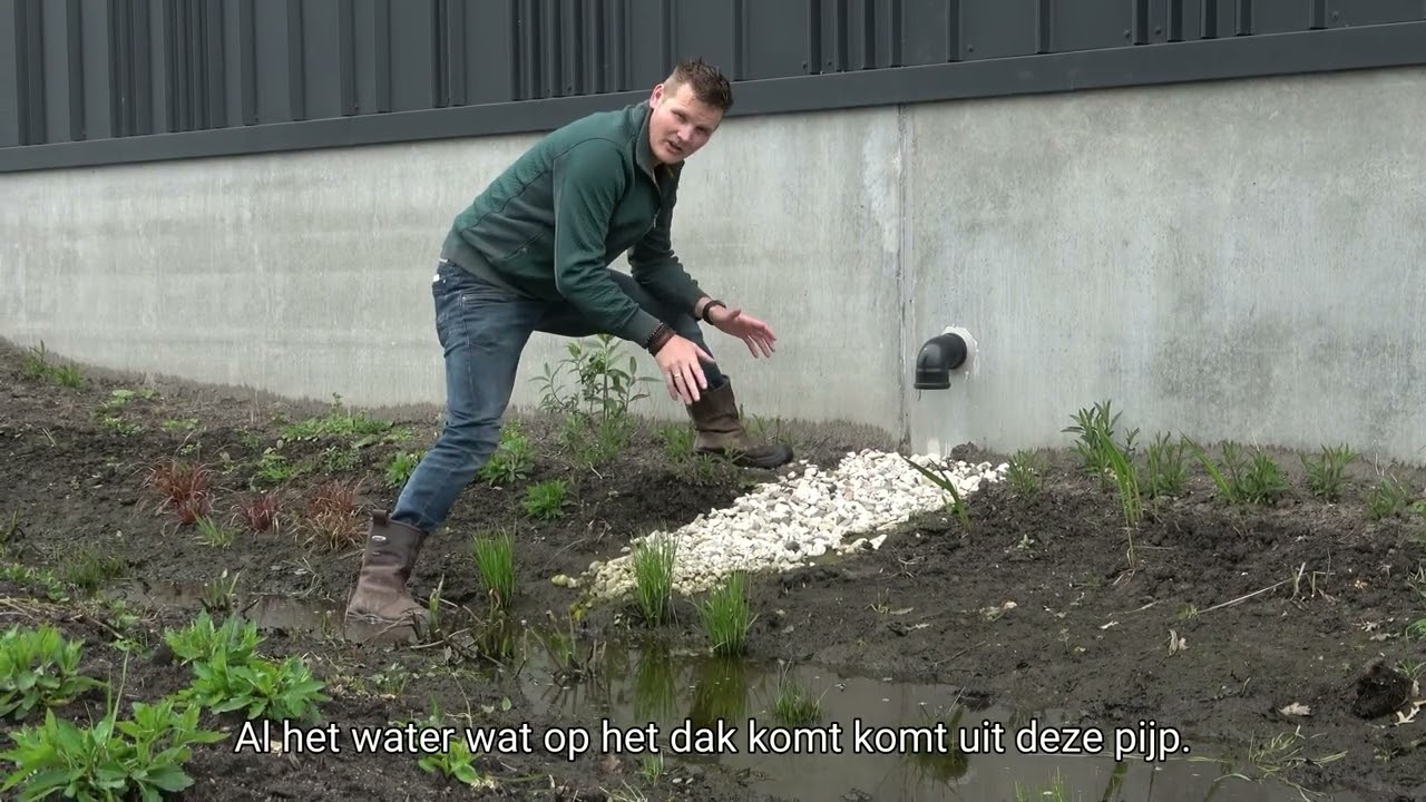 Tuintip 4: Vang regenwater op | Bram Engberts