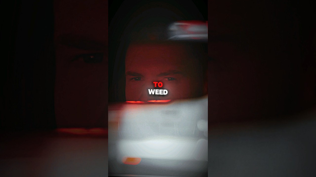 Dealing With WEED Addicts.