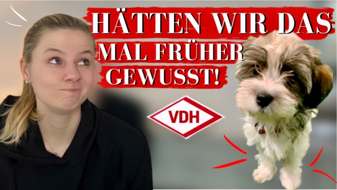 DUNKLE WAHRHEIT hinter FIBIs PATELLALUXATION und was das für DEINEN WELPENKAUF bedeutet