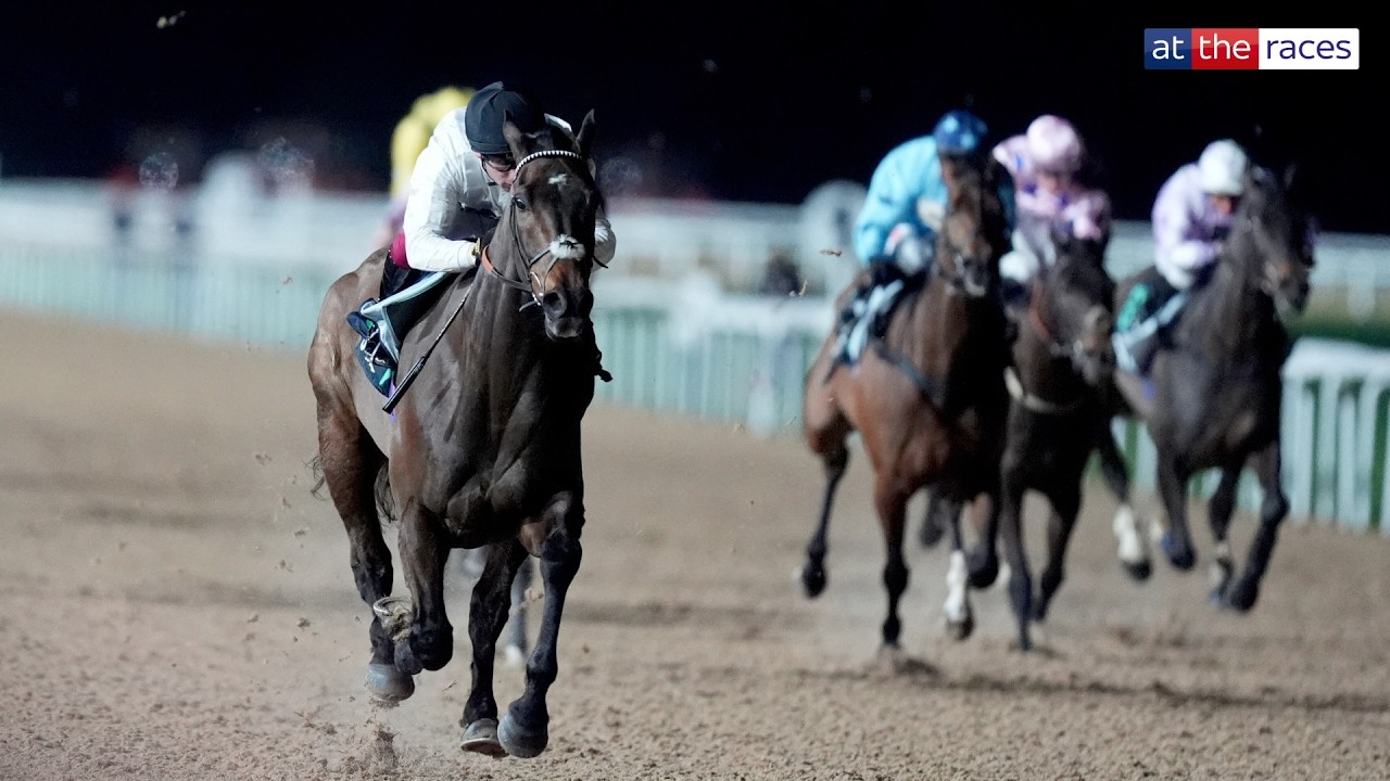 CONSTITUTION HILL sends Southwell wild with stunning performance on Flat debut! | Full race replay
