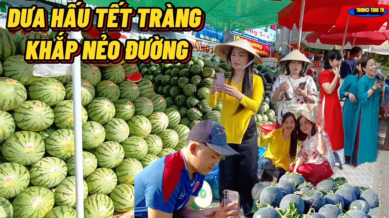 Chợ Hoa Kiểng Dưa Hấu Chất Như Núi Tại TP.Cần Thơ Điều Hiêu Vắng Người #trungtinhtv 