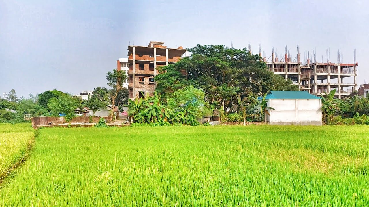 নরসিংদীর জমি | নরসিংদী জেলা হাসপাতাল এর পিছনে জমি দেখবেন?