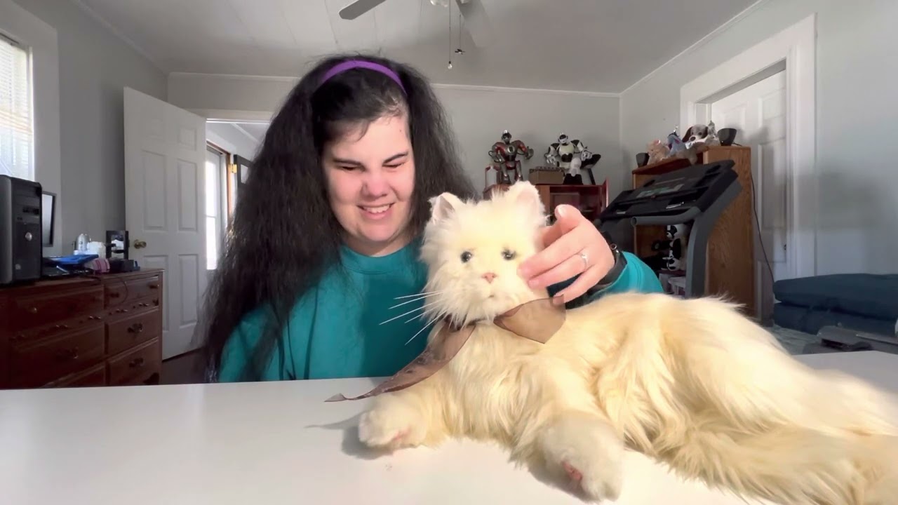 Cute sounds part three – featuring Leche the joy for all companion cat by Hesbro￼