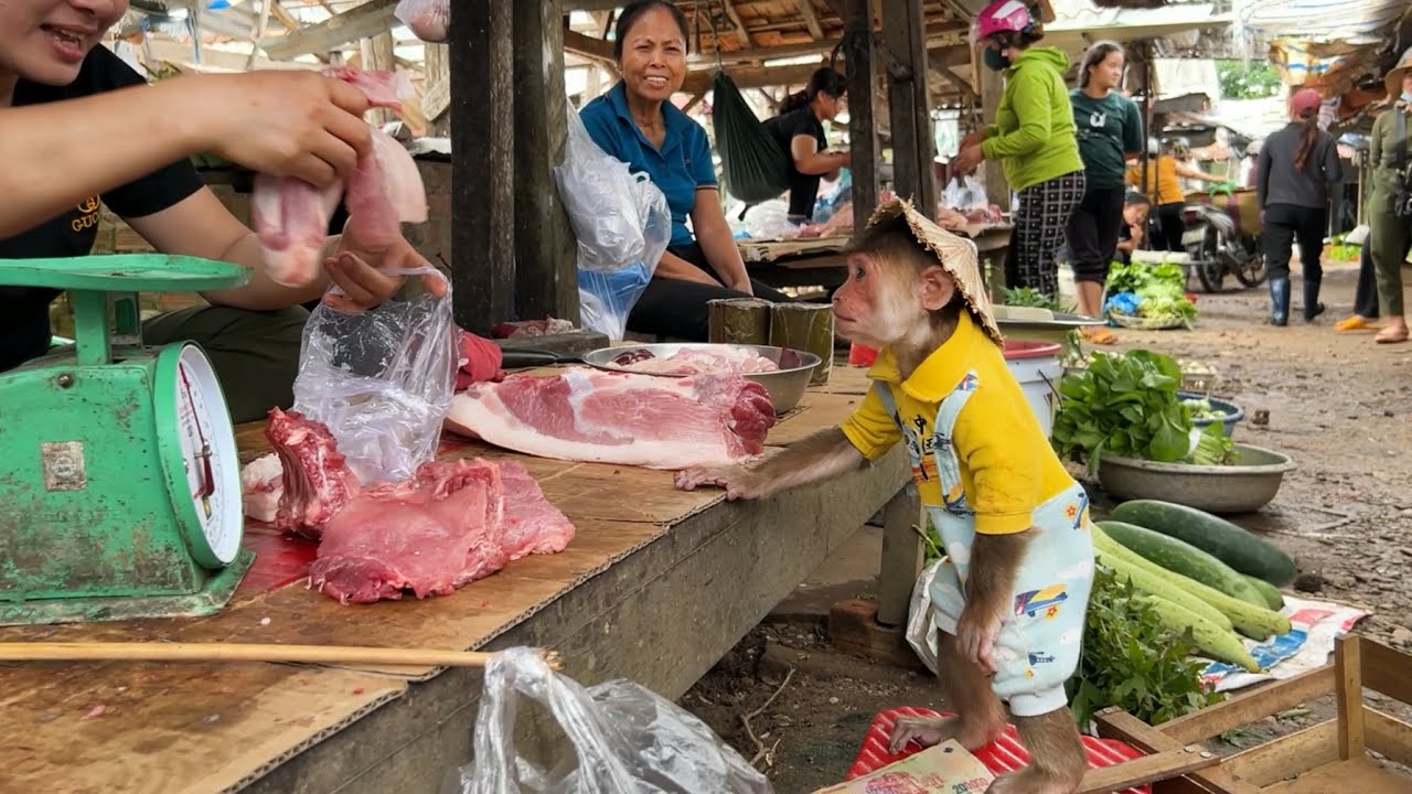 CUTIS rickshaw harvest guava to sell buy meat! Feed sick mom