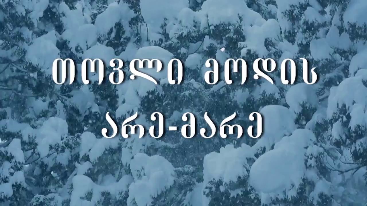 Nino Chxeidze Tovli Modis