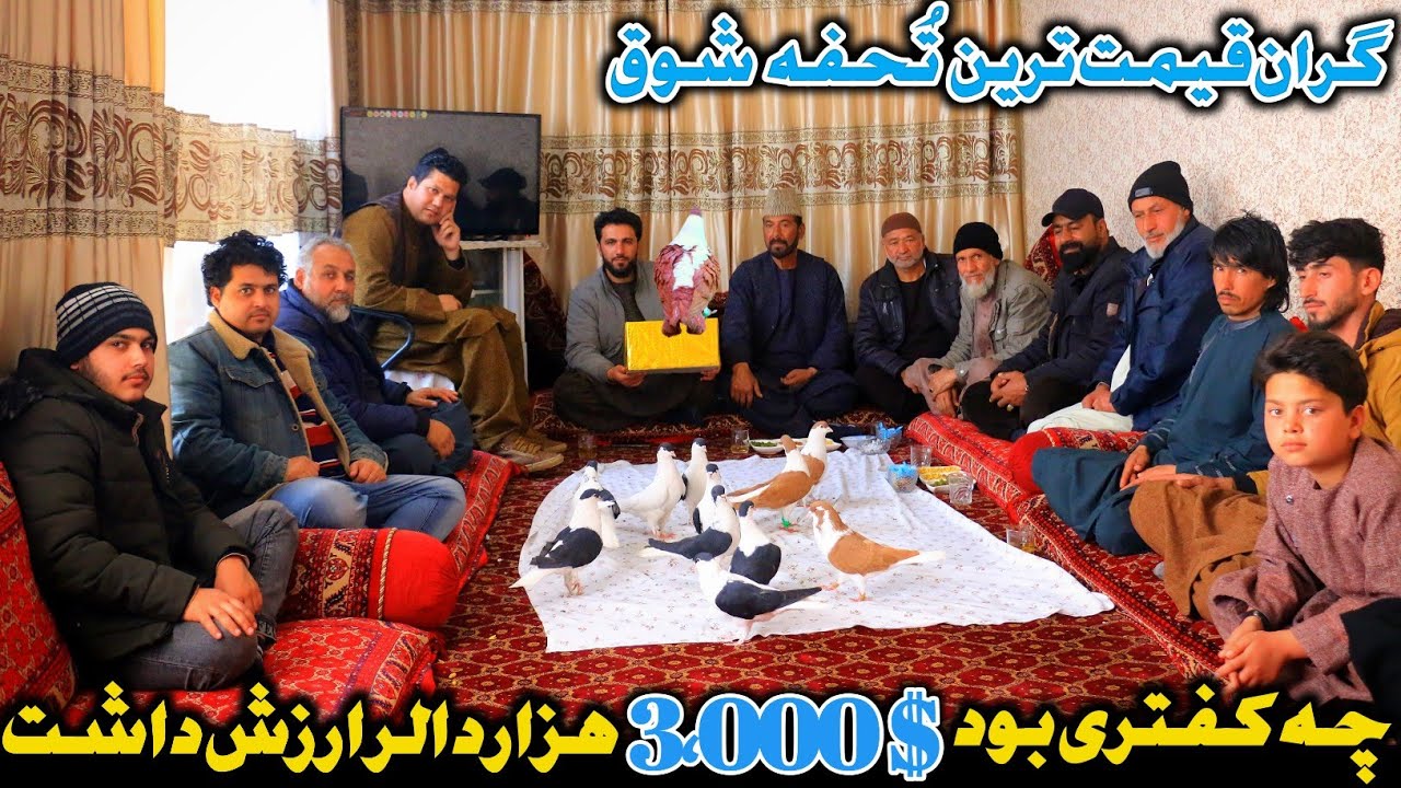 انواع مژه و خصوصیات ابرو در کفتر|چه کفتری بود3،000 هزار دالر ارزش داشت اما.|گران‌قیمت‌ترین تُحفه شوق