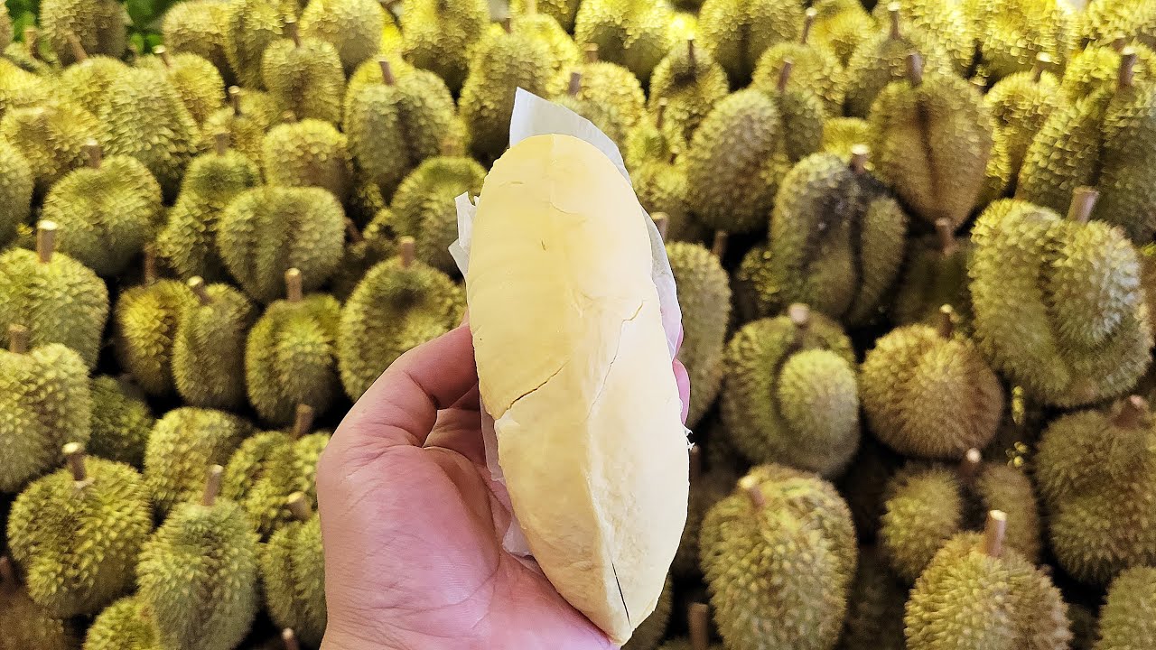 Crazy speed!!! Amazing durian cutting skill master!!! A famous durian shop in Laos!!!