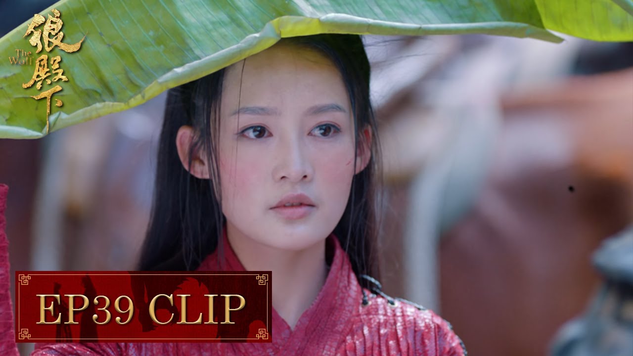 (First Peek) Ji Chong was injured for trying to save Ma Zhaixing, is she moved? | The Wolf