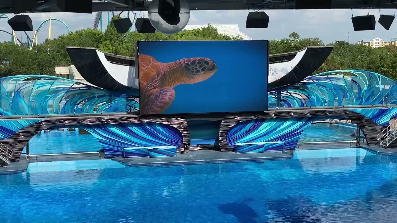 Встреча с косатками в SeaWorld Orlando 30.03.21