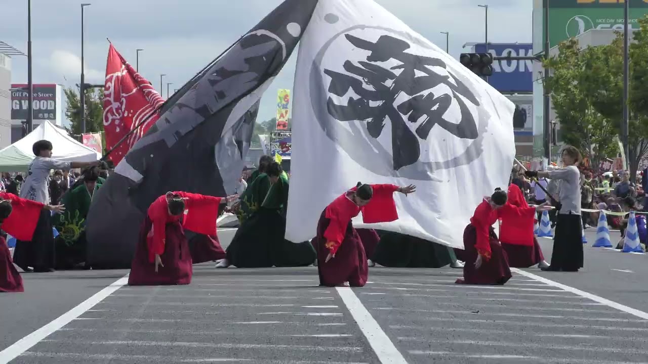 ちば  yosakoi 2025   パレードC会場    若 欅ーwakakeaki－
