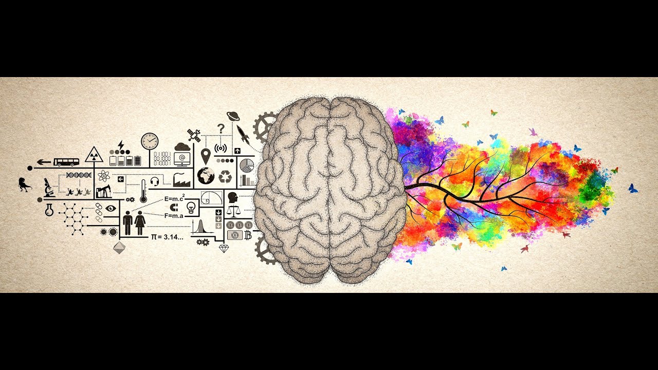 Emotional Intelligence   Lecture 01 (Part2)