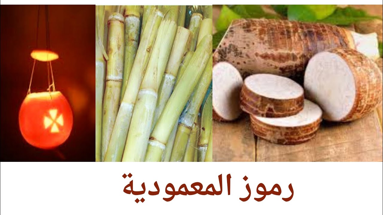 ليه القصب والقلقاس والبرتقال في عيد الغطاس