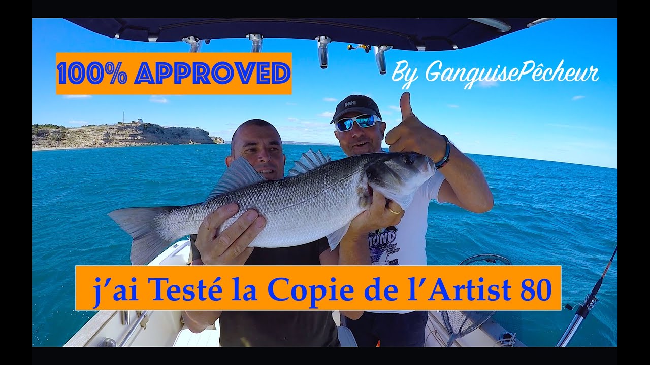 Test Copie ARTIST FR80  Leurre AliExpress pêche