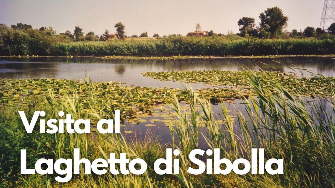Visita al Laghetto di Sibolla - Altopascio, LU (parte I)