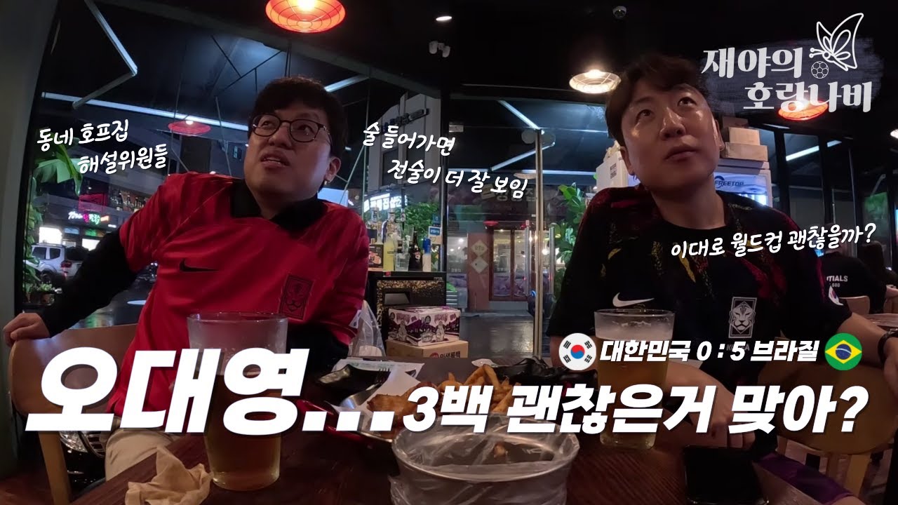대한민국 대 브라질, 동네 호프집 해설위원들의 관전평