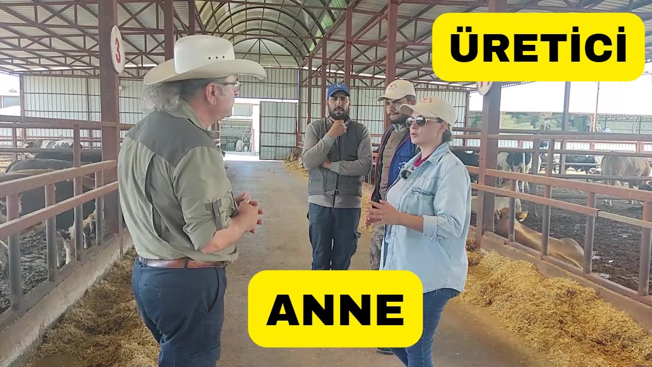 ÜRETİCİ FEDAKAR ANNE (Dev Besi Çiftliğini Yönetiyor)