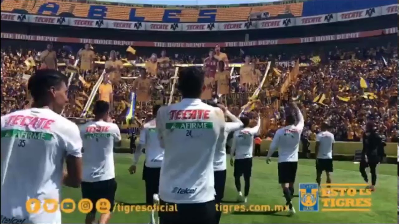 Entrenamiento de TIGRES UANL a puertas abiertas Domingo 28/04/2019