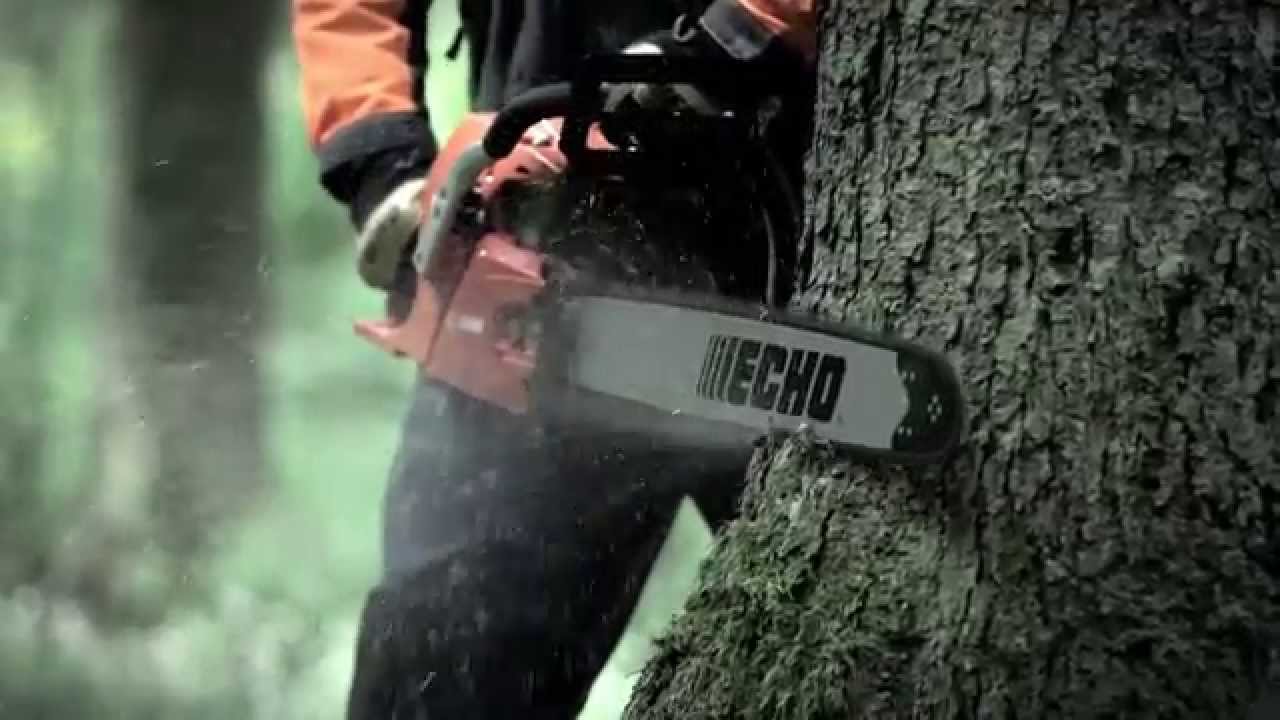 ECHO mi&scaron;kui ir sodui