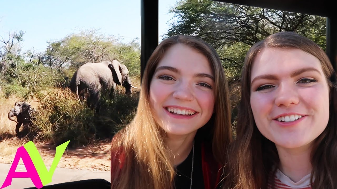 I Went On An African Safari! / Aud Vlogs