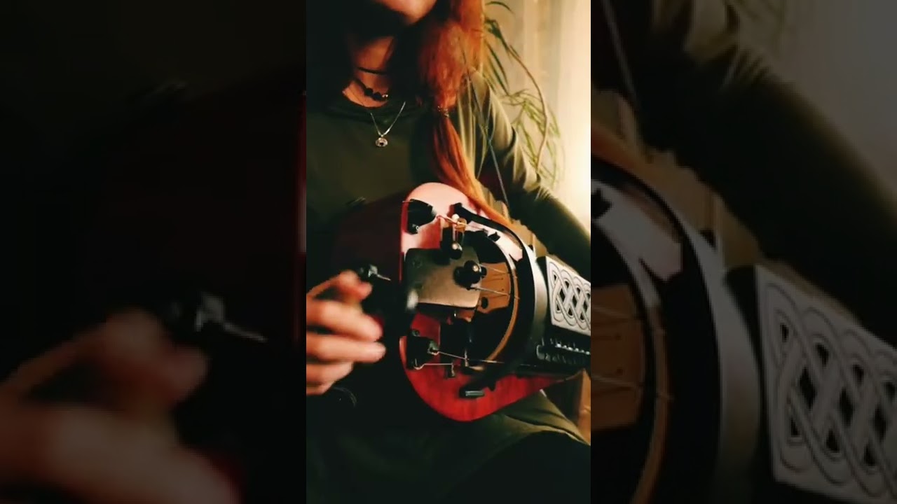 Ensiferum - Wanderer (cover on hurdy gurdy with original track)