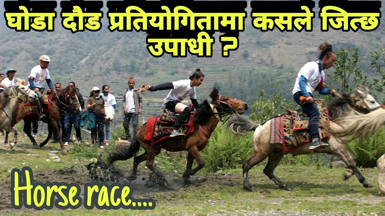 Horse racing competition at  ghandruk mahatswap 2080| Villagers lifestyle in the ghandruk | KGM vlog
