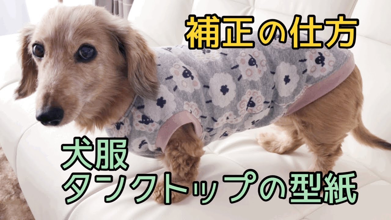 犬服　タンクトップの型紙補正のやり方　ダックス用