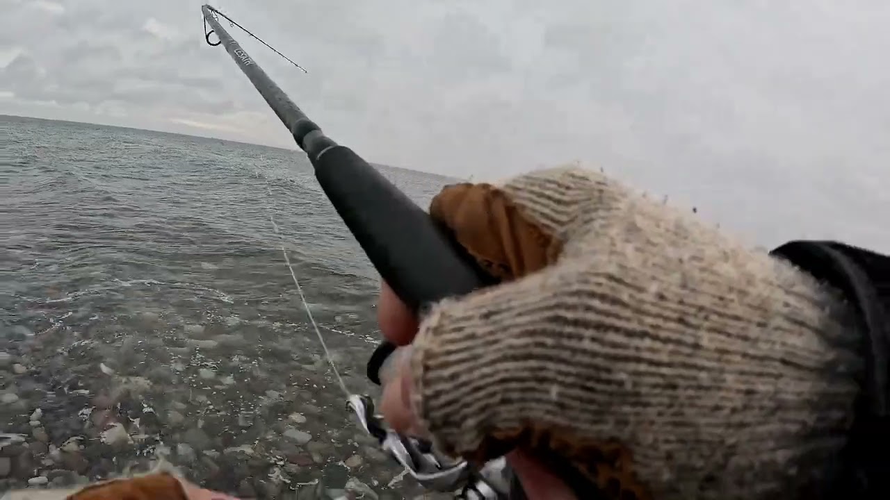 En havørred mistet og 2 i nettet. 